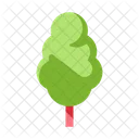 Arbre Nature Feuille Icon