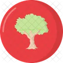 Arbre Icon