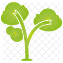 Arbre Plante Vert Icon