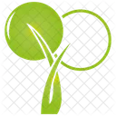 Arbre Plante Vert Icon