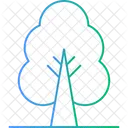 Nature Plante Foret Icon