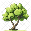 Arbre Nature Plante Icône