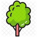 Nature Arbre Plantation Icon