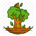 Nature Foret Plante Icon