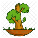 Nature Foret Plante Icon