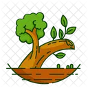 Nature Foret Plante Icon