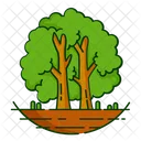 Nature Foret Plante Icon