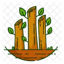 Nature Foret Plante Icon