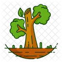 Nature Foret Plante Icon