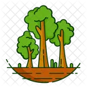 Nature Foret Plante Icon