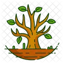 Nature Foret Plante Icon