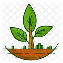 Nature Foret Plante Icon