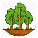 Nature Foret Plante Icon