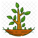 Nature Foret Plante Icon