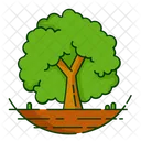 Nature Foret Plante Icon