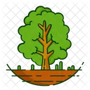 Nature Foret Plante Icon