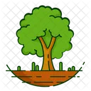 Nature Foret Plante Icon