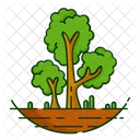 Nature Foret Plante Icon