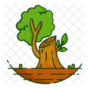 Nature Foret Plante Icon