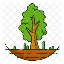 Nature Foret Plante Icon