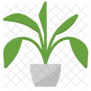 Arbre Plante Grandir Icon