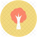 Arbre Arbuste Foret Icon