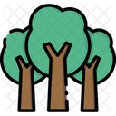 Arbre Arbres Nature Icon