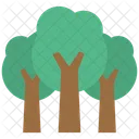 Arbre Arbres Nature Icon