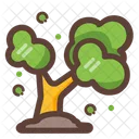 Arbre Foret Nature Icon