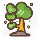 Arbre Foret Nature Icon