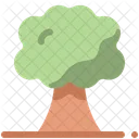 Arbre Nature Bois Icon