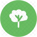 Arbre Cour Foret Icon