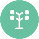 Arbre Cour Foret Icon