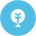 Arbre Cour Foret Icon