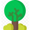 Arbre Icon