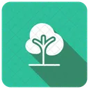 Arbre Nature Jardin Icon