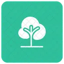 Arbre Nature Jardin Icon