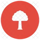 Arbre Nature Foret Icon