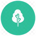 Arbre Nature Vert Icon