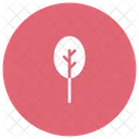 Arbre Nature Jardin Icon