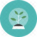 Arbre Plante Innovation Icon