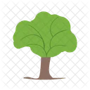 Arbre Icon