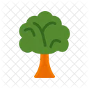 Arbre Icon