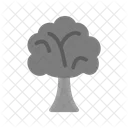 Arbre Icon