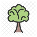 Arbre Icon