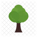 Arbre Icon