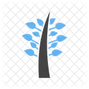 Arbre Plante Feuilles Icon