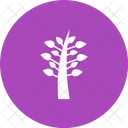 Arbre Plante Icon