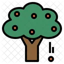 Arbre Plante Fruit Icon