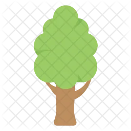 Arbre  Icon